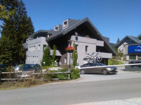 Apartmán Sofie se zahrádkou, Harrachov